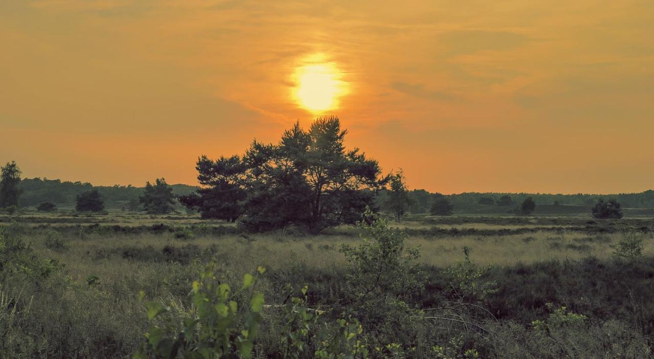 Lodge Goudvink Nunspeet Veluwe Dış mekan fotoğraf